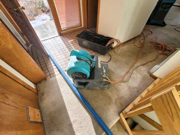 Best Sewage cleanup and water damage restoration  in Smiths Station, AL