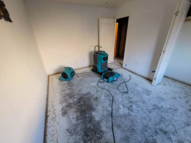 Best Water damage cleanup near me  in Smiths Station, AL