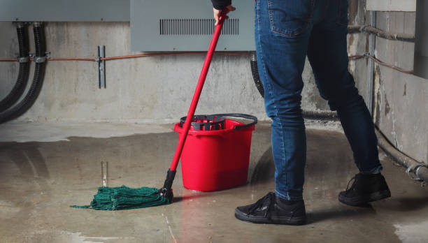 Best Water damage restoration near me  in Smiths Station, AL